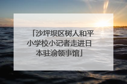 沙坪坝区树人和平小学校小记者走进日本驻渝领事馆