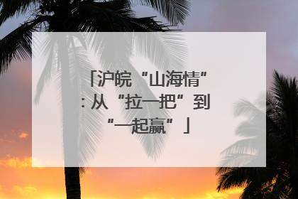 沪皖“山海情”：从“拉一把”到“一起赢”
