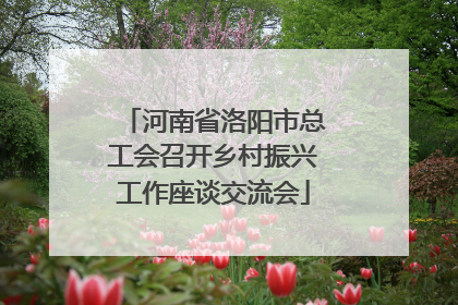 河南省洛阳市总工会召开乡村振兴工作座谈交流会