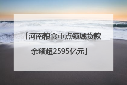 河南粮食重点领域贷款余额超2595亿元