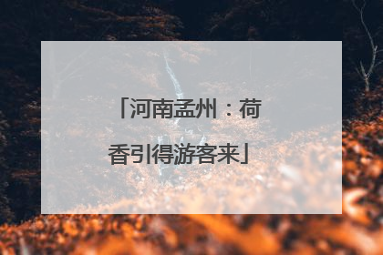 河南孟州：荷香引得游客来