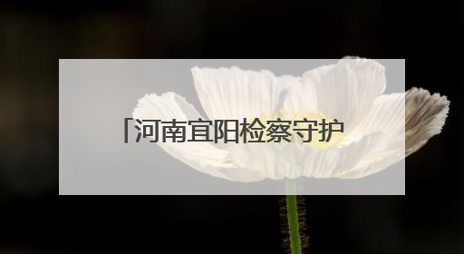 河南宜阳检察守护古建筑消防安全