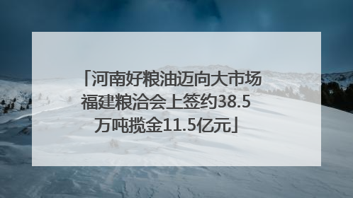河南好粮油迈向大市场 福建粮洽会上签约38.5万吨揽金11.5亿元