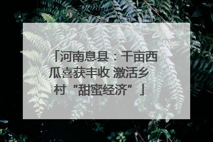 河南息县：千亩西瓜喜获丰收 激活乡村“甜蜜经济”