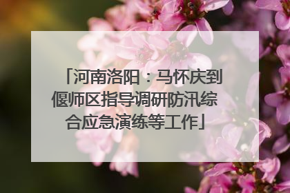 河南洛阳：马怀庆到偃师区指导调研防汛综合应急演练等工作