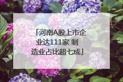 河南A股上市企业达111家 制造业占比超七成