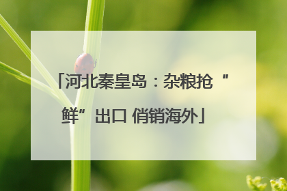 河北秦皇岛：杂粮抢“鲜”出口 俏销海外