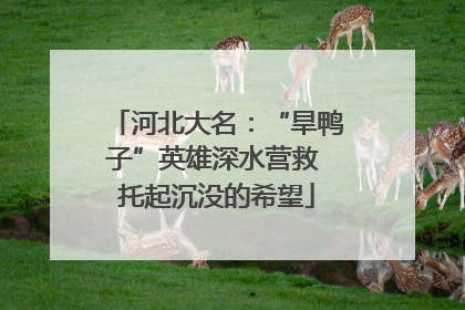 河北大名：“旱鸭子”英雄深水营救 托起沉没的希望