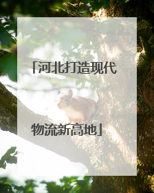 河北打造现代物流新高地