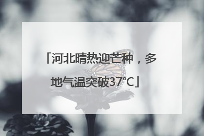 河北晴热迎芒种，多地气温突破37℃
