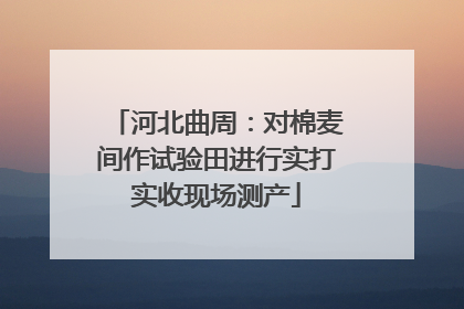 河北曲周：对棉麦间作试验田进行实打实收现场测产