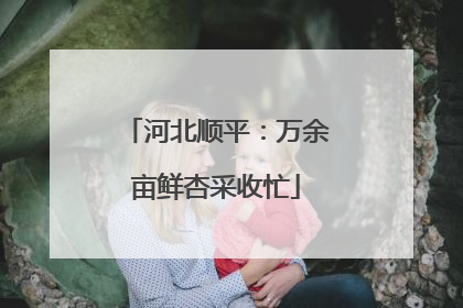 河北顺平：万余亩鲜杏采收忙