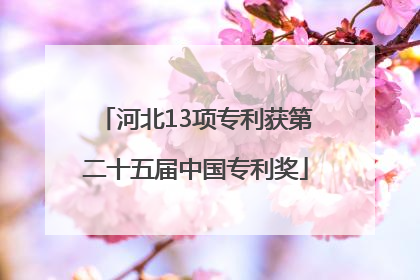 河北13项专利获第二十五届中国专利奖