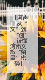 河声丨从“文”到“创”，读懂河南文旅“留量”密码