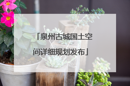 泉州古城国土空间详细规划发布