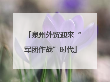 泉州外贸迎来“军团作战”时代
