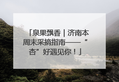 泉果飘香｜济南本周末采摘指南——“杏”好遇见你！