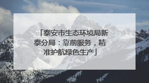 泰安市生态环境局新泰分局：靠前服务，精准护航绿色生产