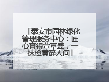泰安市园林绿化管理服务中心：匠心育得萱草盛，一抹橙黄醉人间