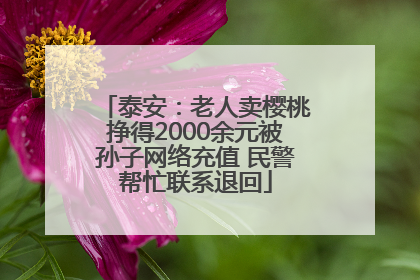 泰安：老人卖樱桃挣得2000余元被孙子网络充值 民警帮忙联系退回