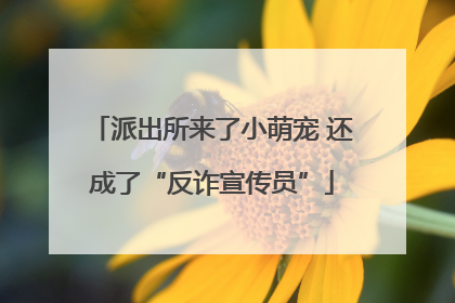 派出所来了小萌宠 还成了“反诈宣传员”