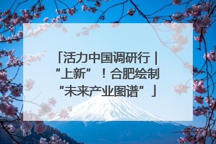 活力中国调研行｜“上新”！合肥绘制“未来产业图谱”
