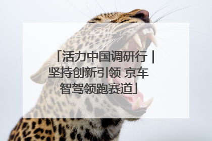 活力中国调研行｜坚持创新引领 京车智驾领跑赛道