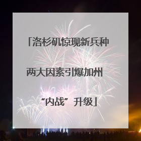 洛杉矶惊现新兵种 两大因素引爆加州“内战”升级