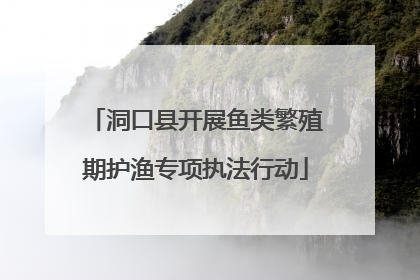 洞口县开展鱼类繁殖期护渔专项执法行动