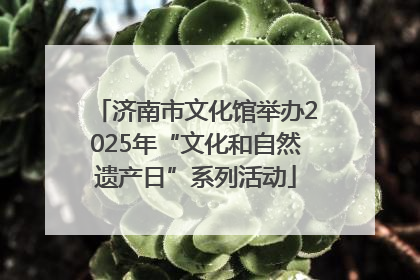 济南市文化馆举办2025年“文化和自然遗产日”系列活动