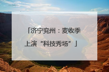 济宁兖州：麦收季上演“科技秀场”