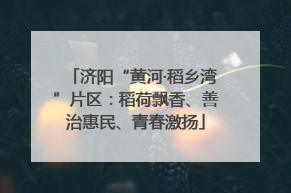 济阳“黄河·稻乡湾”片区：稻荷飘香、善治惠民、青春激扬