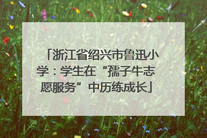 浙江省绍兴市鲁迅小学：学生在“孺子牛志愿服务”中历练成长
