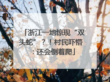 浙江一地惊现“双头蛇”？！村民吓懵：还会倒着爬