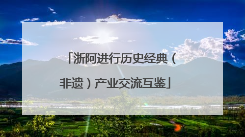 浙阿进行历史经典（非遗）产业交流互鉴