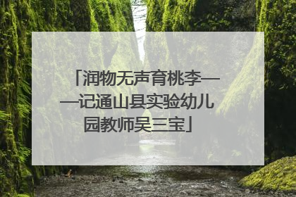 润物无声育桃李——记通山县实验幼儿园教师吴三宝