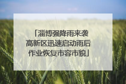 淄博强降雨来袭 高新区迅速启动雨后作业恢复市容市貌