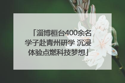 淄博桓台400余名学子赴青州研学 沉浸体验点燃科技梦想