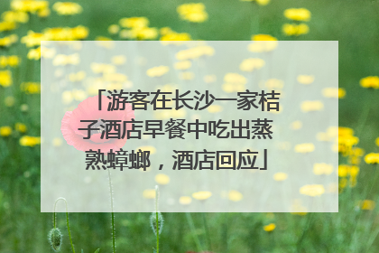 游客在长沙一家桔子酒店早餐中吃出蒸熟蟑螂，酒店回应