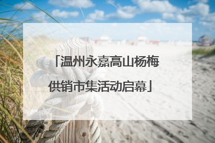 温州永嘉高山杨梅供销市集活动启幕