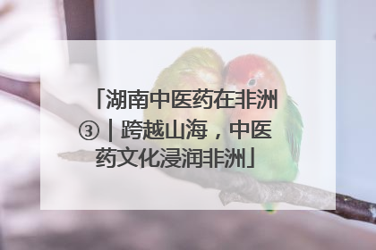 湖南中医药在非洲③｜跨越山海，中医药文化浸润非洲