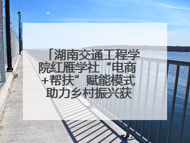 湖南交通工程学院红雁学社“电商+帮扶”赋能模式 助力乡村振兴获帮扶乡镇好评