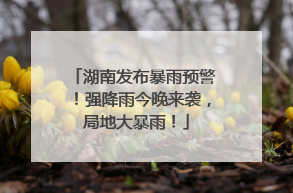 湖南发布暴雨预警！强降雨今晚来袭，局地大暴雨！