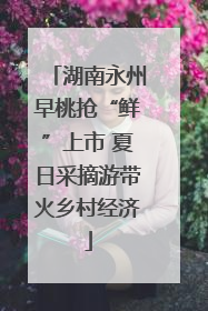 湖南永州早桃抢“鲜”上市 夏日采摘游带火乡村经济
