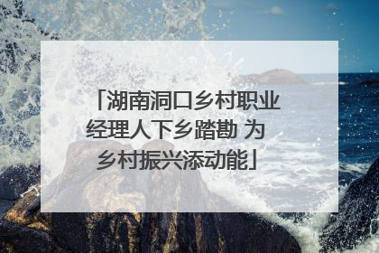 湖南洞口乡村职业经理人下乡踏勘 为乡村振兴添动能