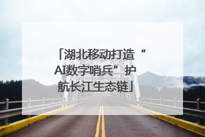 湖北移动打造“AI数字哨兵”护航长江生态链