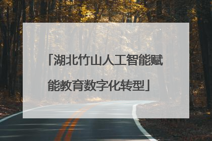 湖北竹山人工智能赋能教育数字化转型
