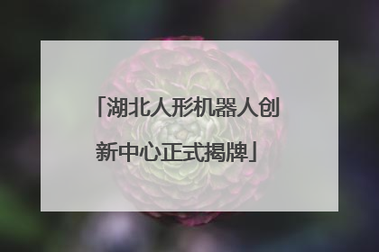 湖北人形机器人创新中心正式揭牌