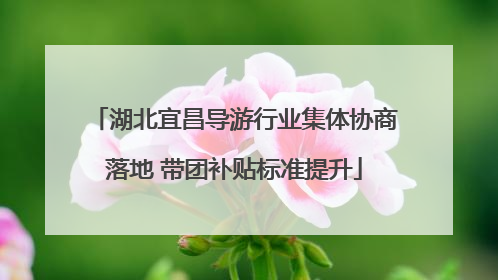 湖北宜昌导游行业集体协商落地 带团补贴标准提升