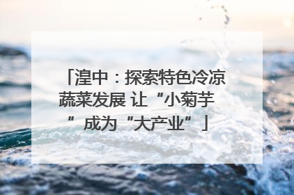 湟中：探索特色冷凉蔬菜发展 让“小菊芋”成为“大产业”